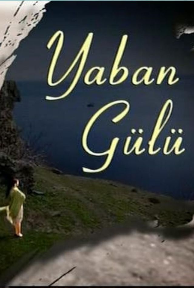 Proje Galerisi